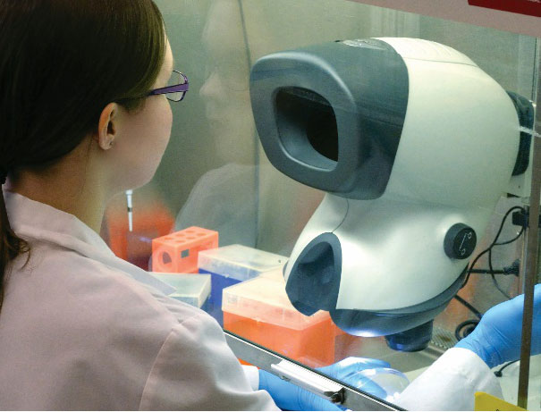 Labortechniker mit Brille unter Verwendung des Mantis-Mikroskops im Laminar-Flow-Schrank